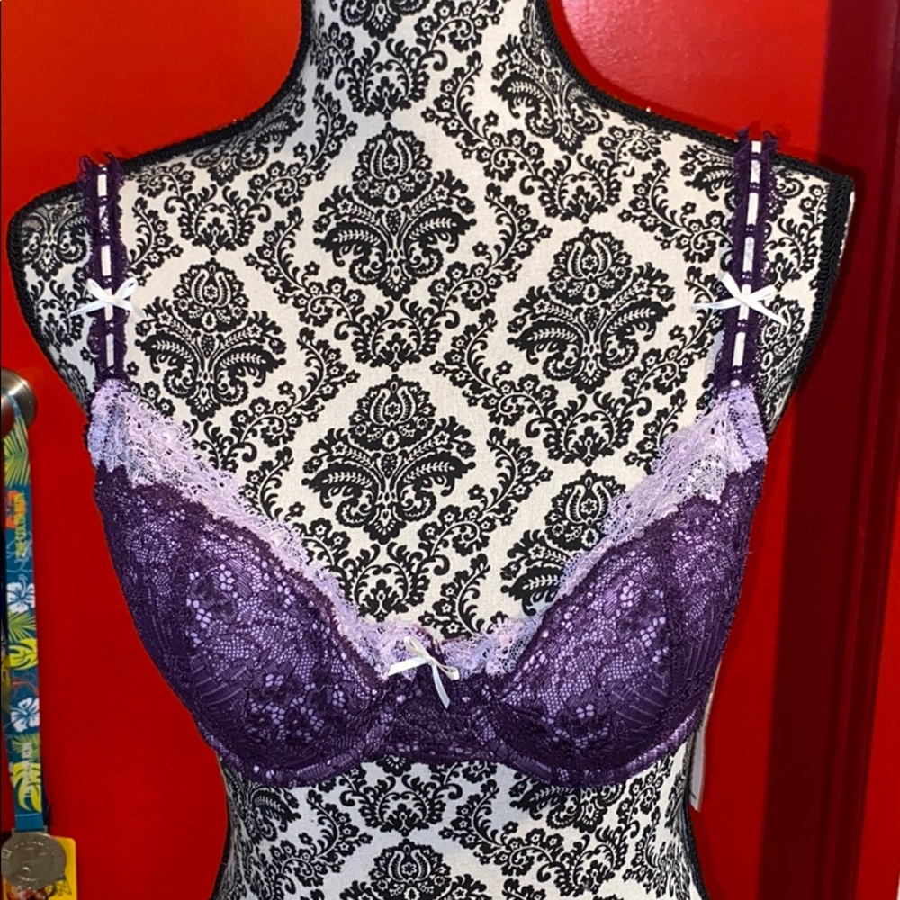 Kensie purple bra